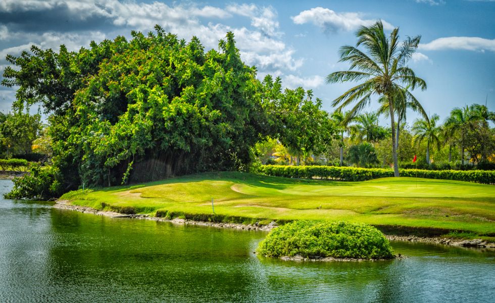 Golf in Dom Republic at Cocotal Golf & Country Club