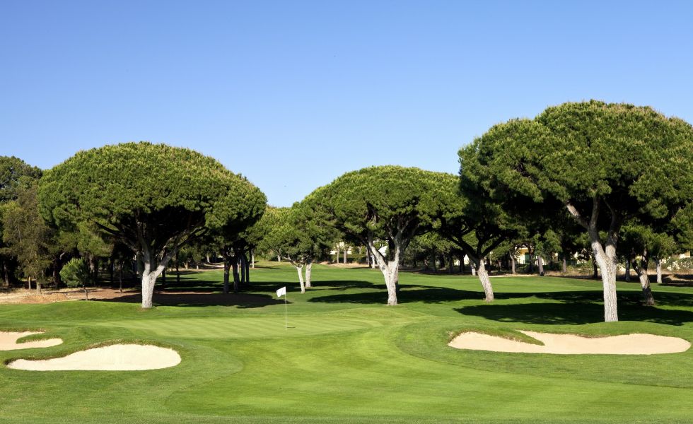 Indulge in the golfing charm of Dom Pedro Pinhal Golf Course, a picturesque escape near Dom Pedro Marina Hotel - Vilamoura. Immerse yourself in lush greenery and precision-designed fairways, creating an unparalleled golf experience.